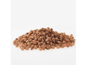 Quinoa pop - algarroba