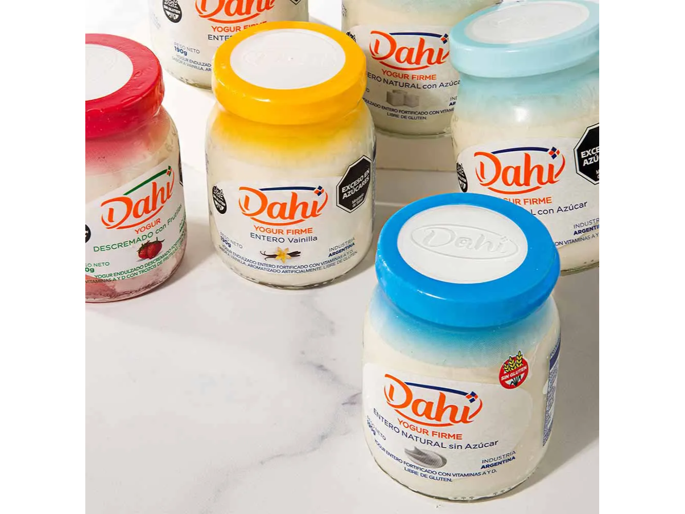 Yogures Dahi