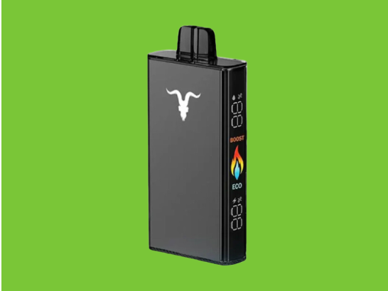 V250