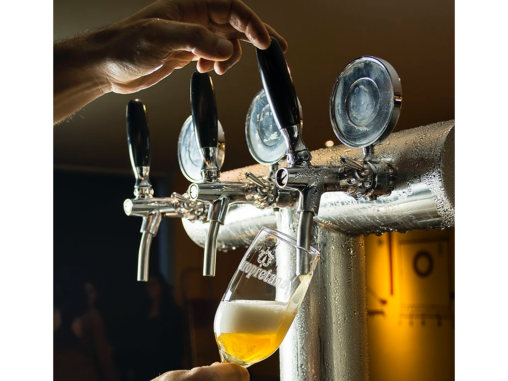 Cerveza Artesanal