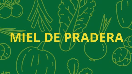 MIEL DE PRADERA