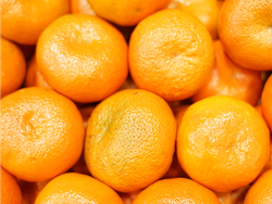 Mandarina CRIOLLA