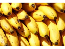 Banana Economica