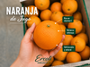 Naranja de Jugo