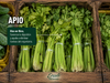 Apio