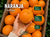 Naranja de ombligo