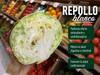 Repollo Blanco