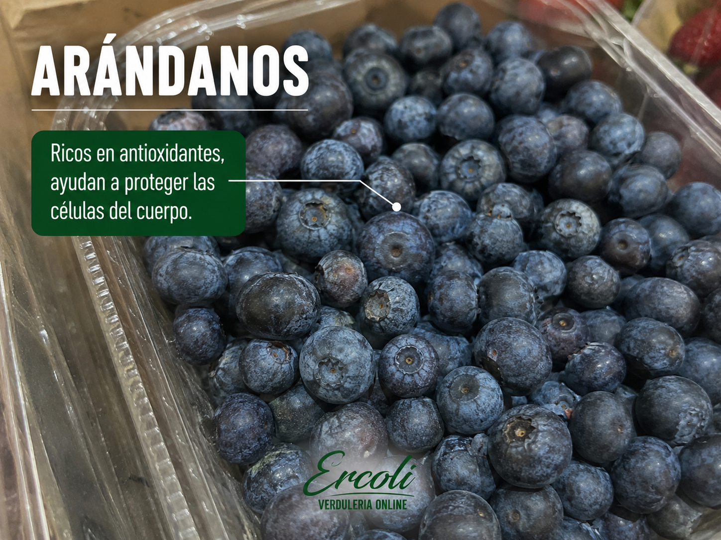 Arándano