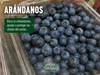 Arándano