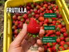 Frutilla