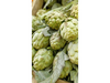 Alcaucil