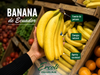 Banana Ecuador