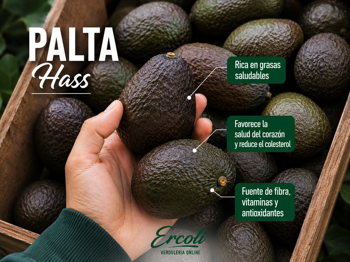 Palta Hass