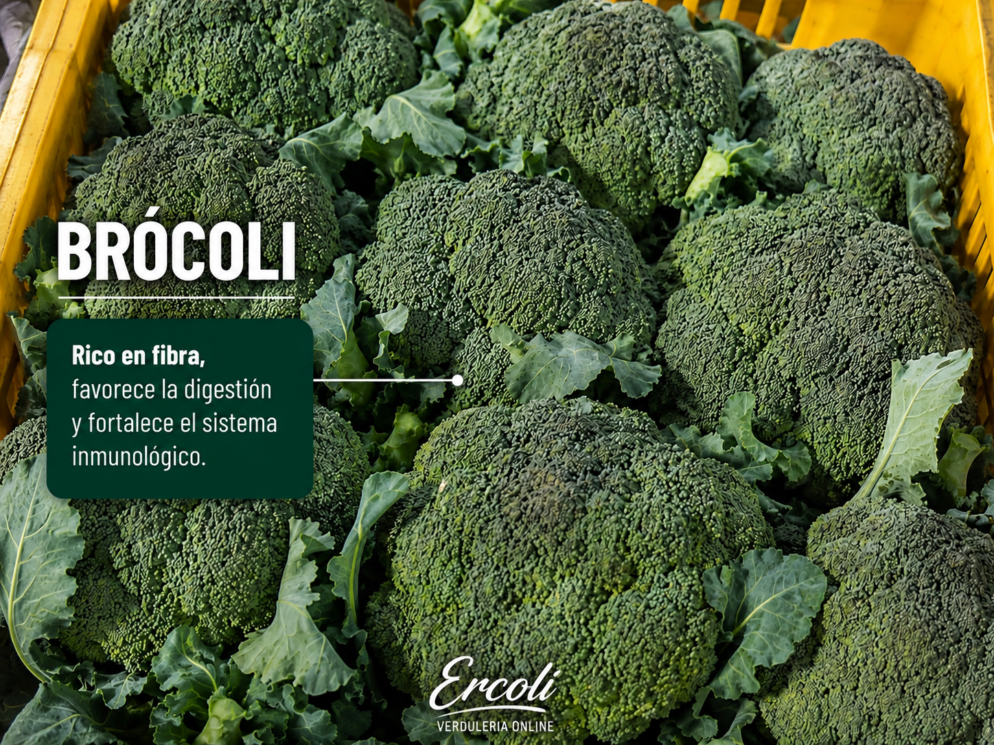 Brócoli