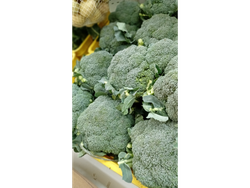 Brócoli