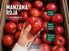 Manzana Roja (ECO)
