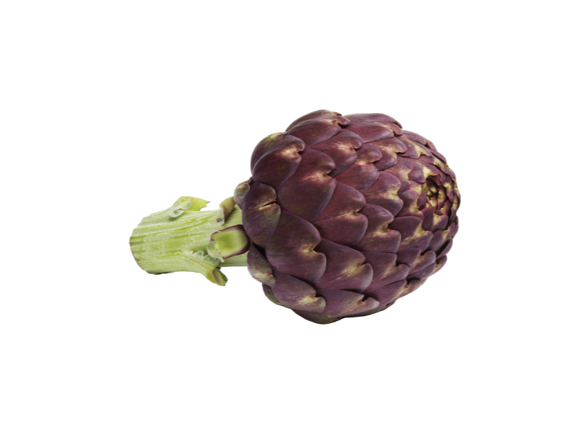 Alcaucil MORADO