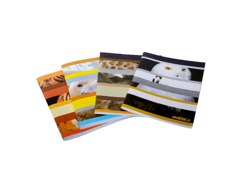 Cuaderno America 24h x 5 unidades