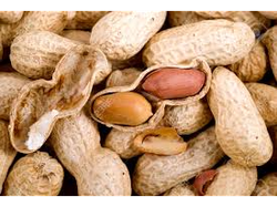 Maní con cascara