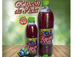 Jugo de Arandanos "Rincon de vida"
