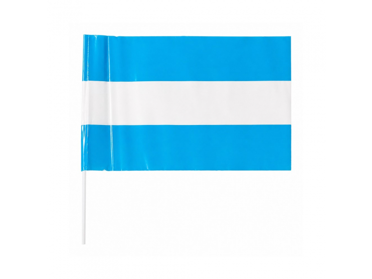 Bandera Argentina Plastica 40x50 cm  Justino