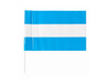 Bandera Argentina Plastica 40x50 cm Justino