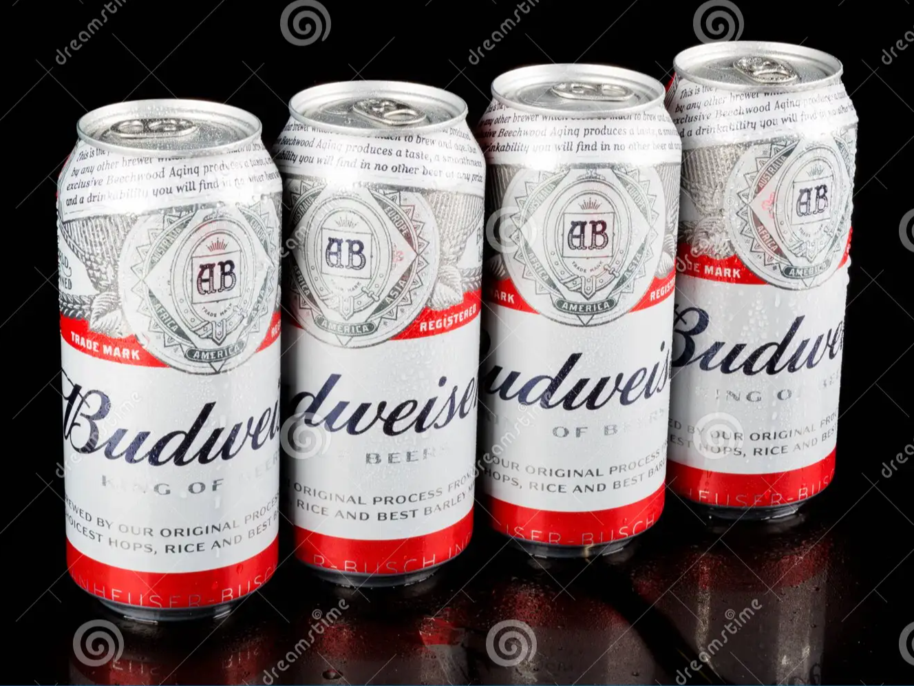 Budweiser 6 Pack