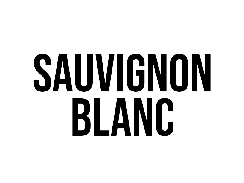 SAUVIGNON BLANC