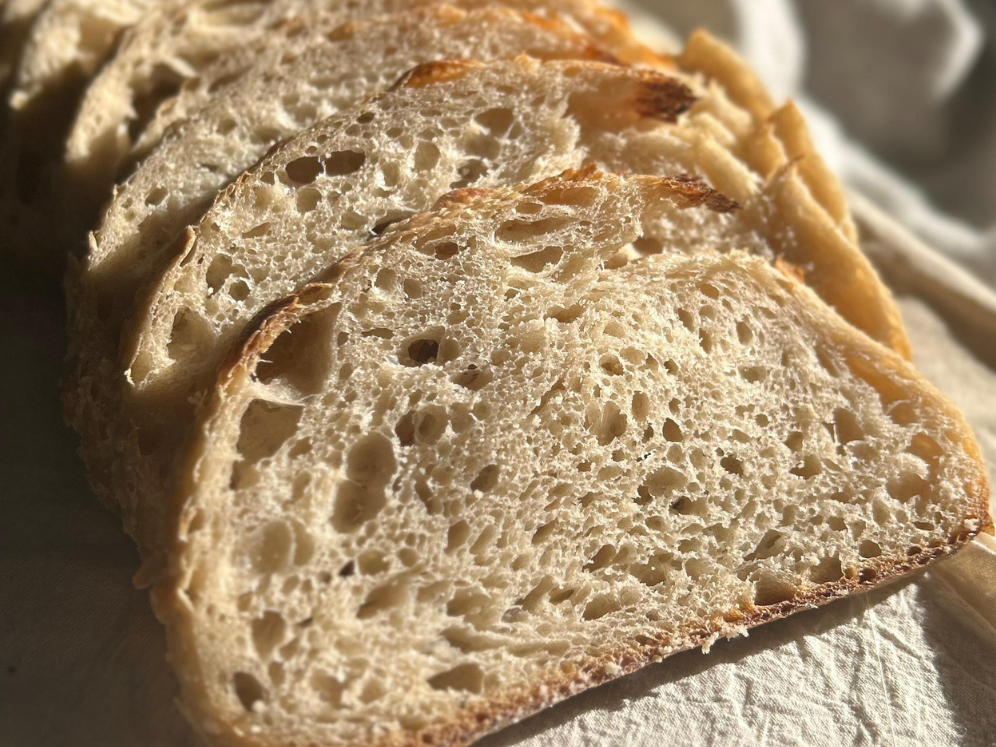 Pan de campo Semi integral de masa madre