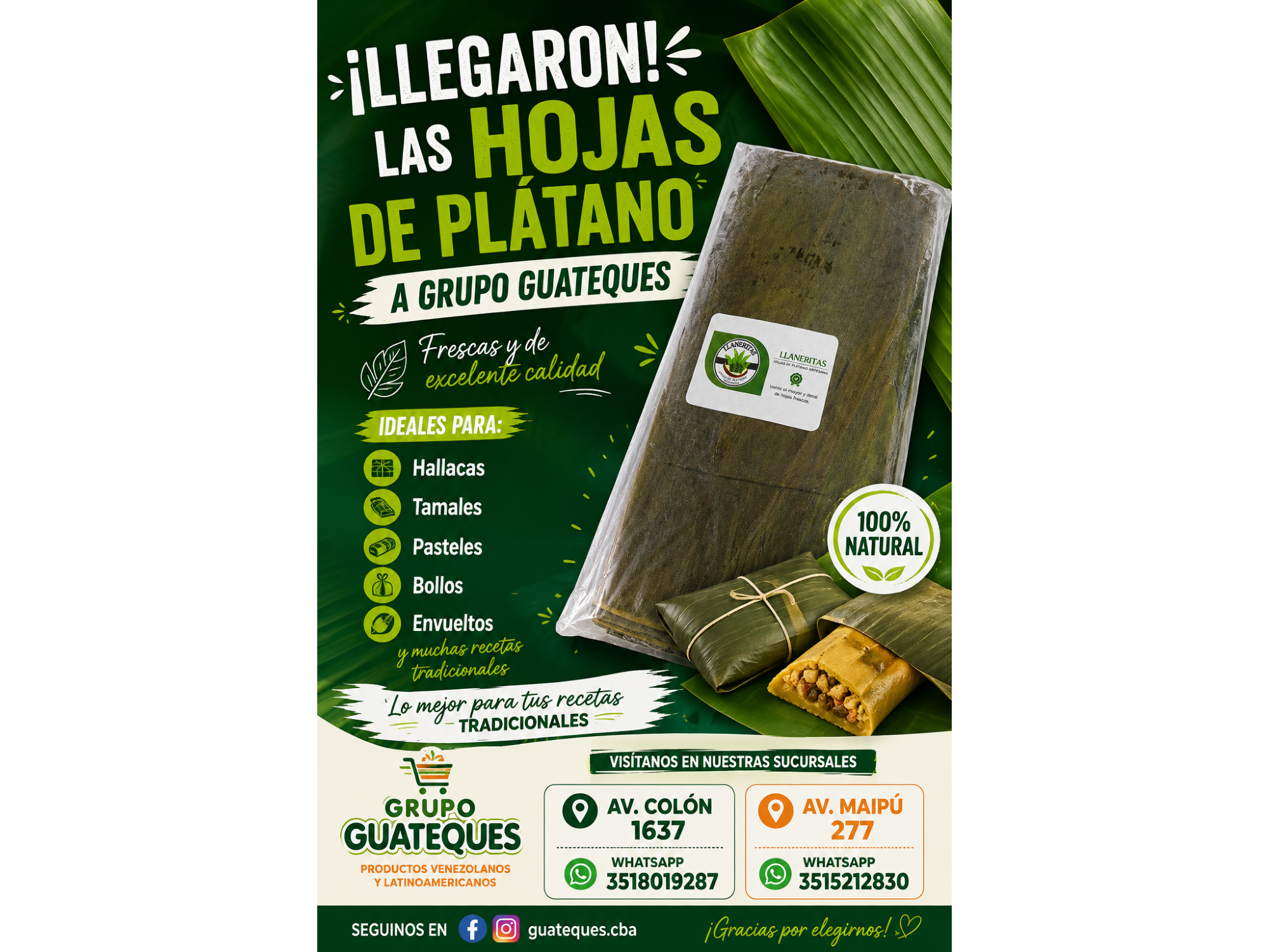 Hojas de Plátanos Importada Ecuador 1 Kg
