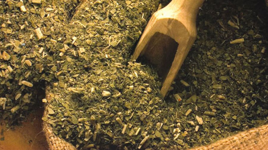 YERBAS