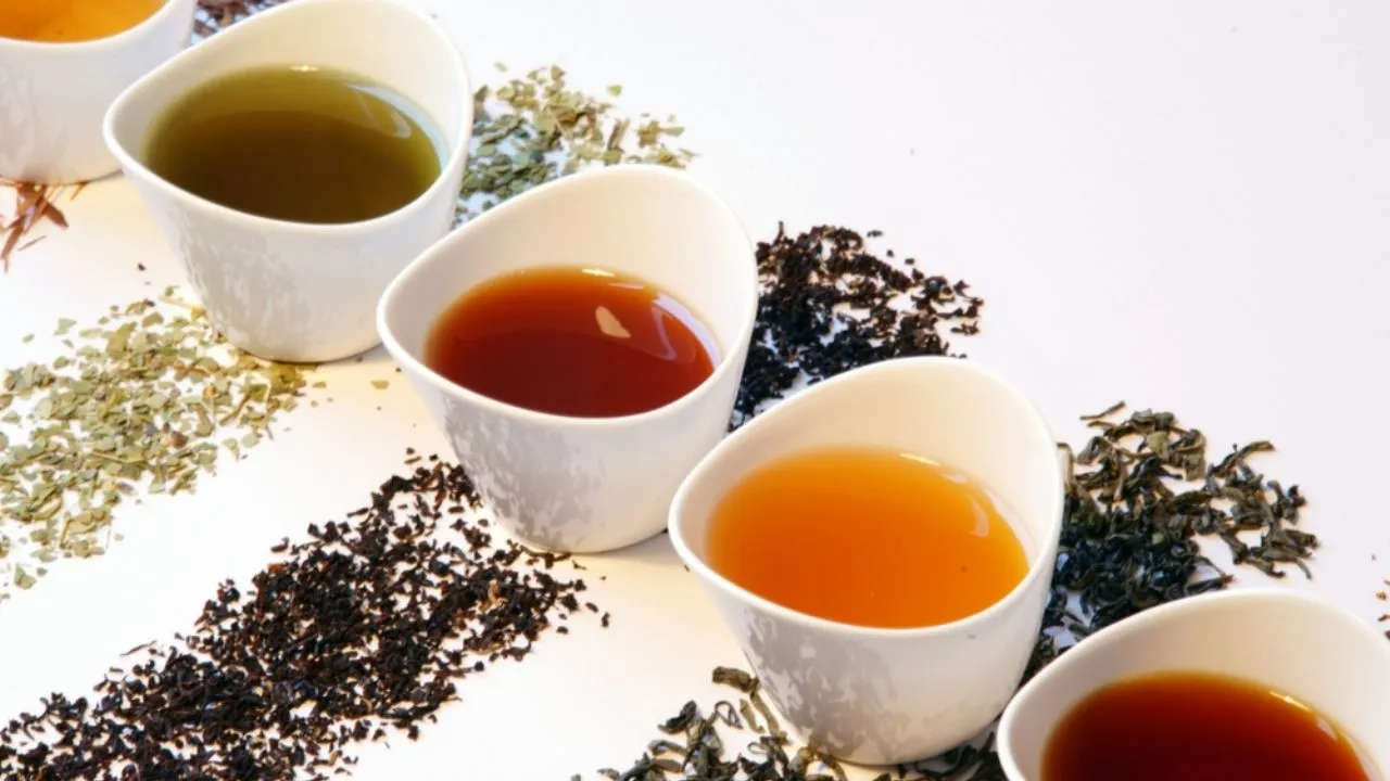 INFUSIONES