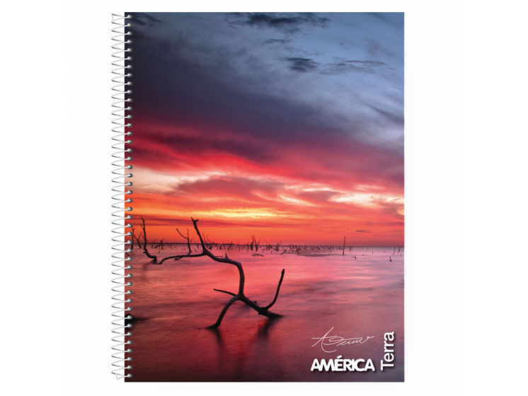 3 CUADERNOS UNIVERSITARIOS AMERICA RAYADO