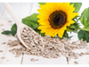 SEMILLAS DE GIRASOL