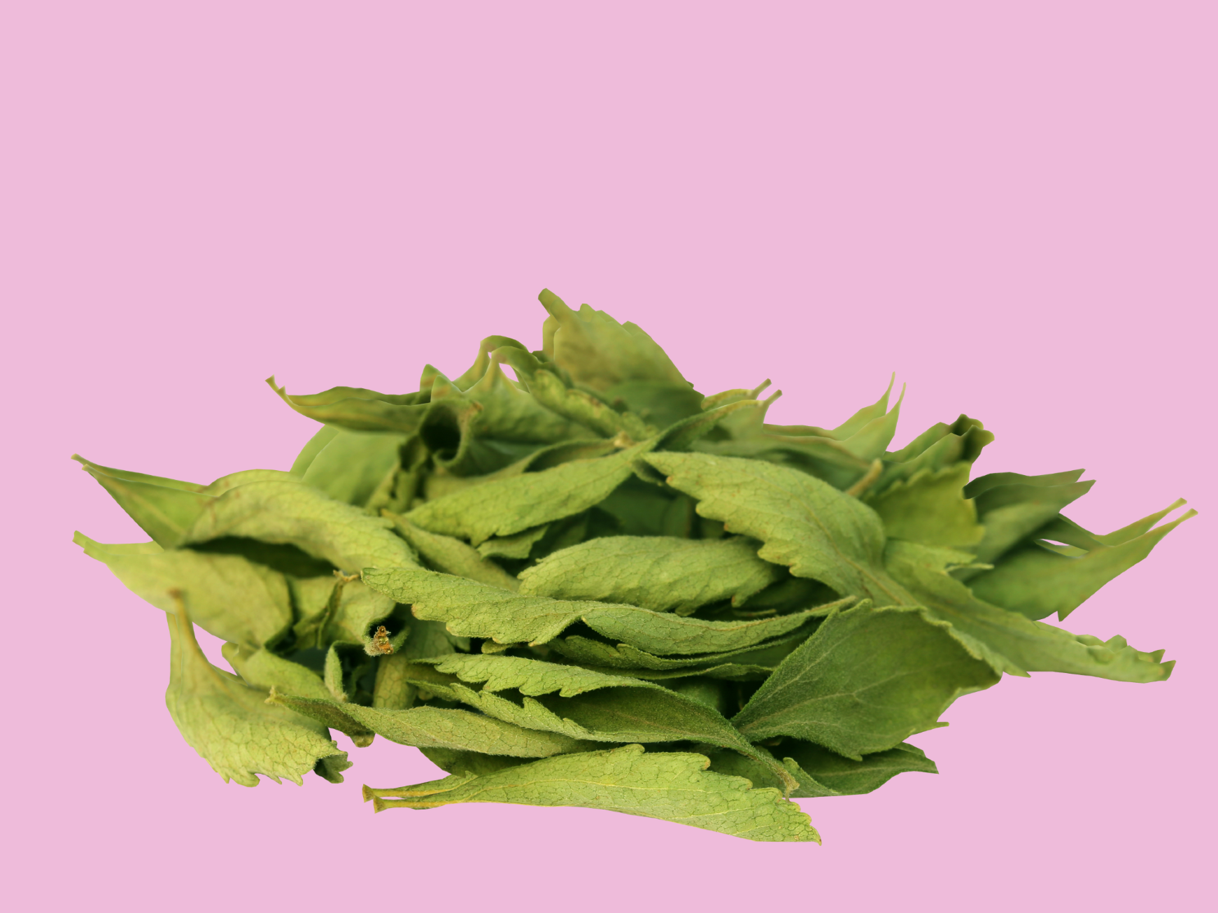 STEVIA EN HOJAS (100g)