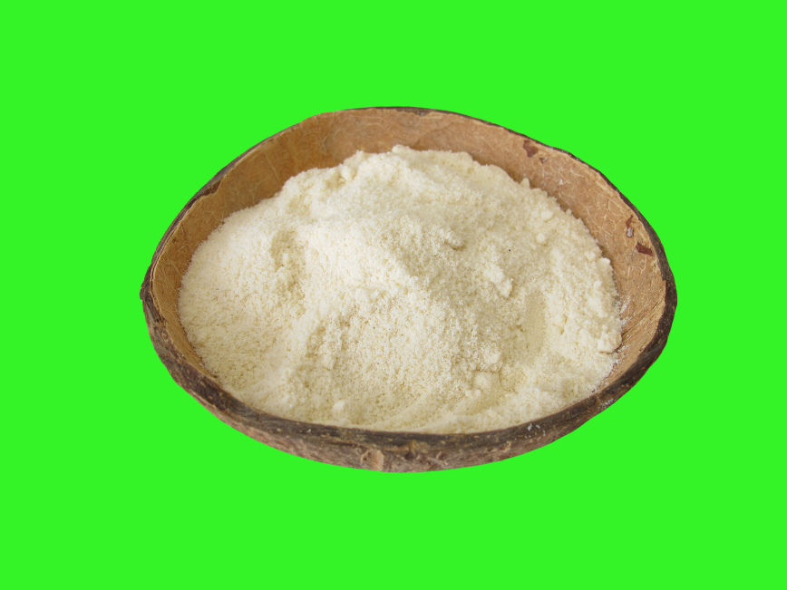 HARINA DE COCO 250g (41)