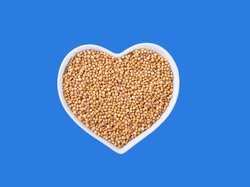 MOSTAZA EN GRANO (100g) (115)