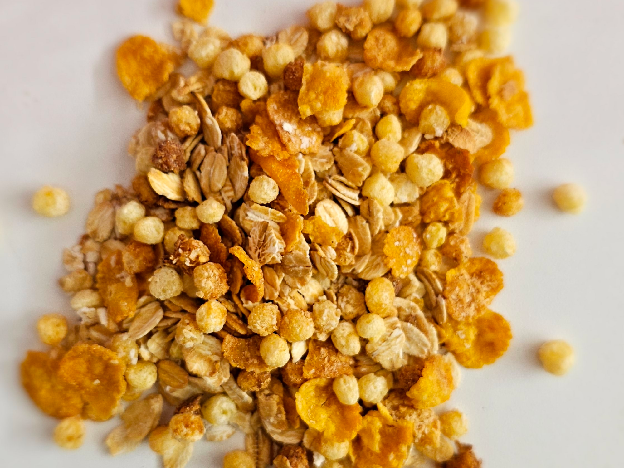 GRANOLA ECO SIN PASAS (31)