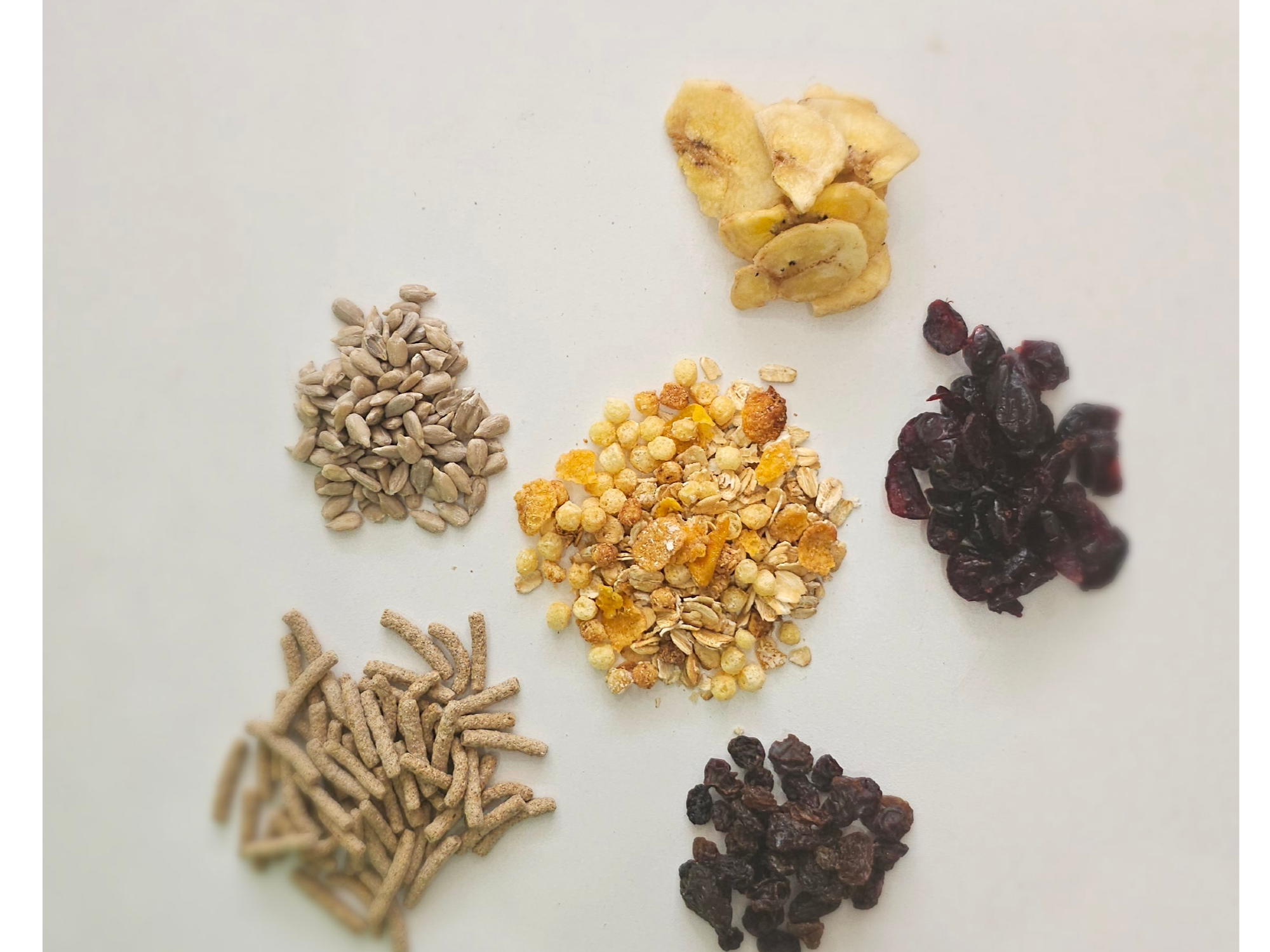 GRANOLA LUCAS (granola + bastancitos salvado, pasas, arandanos, banana, girasol)(33)