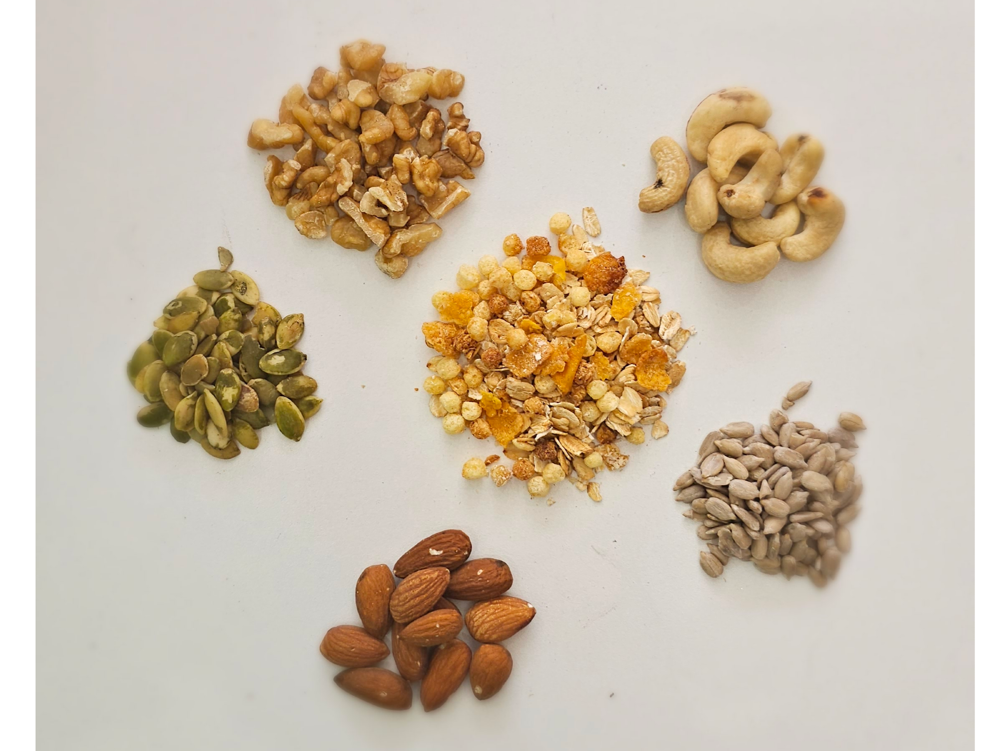 PREMIUM SIN PASAS (almendras, nuez cuartillo, castañas, zapallo, girasol)