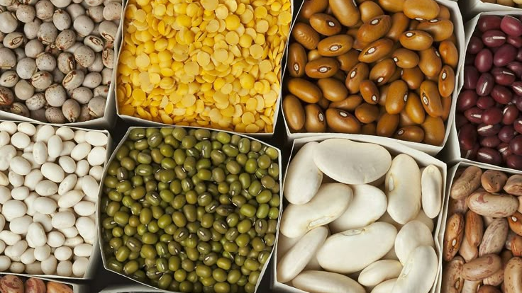 AVENA, SEMILLAS Y LEGUMBRES