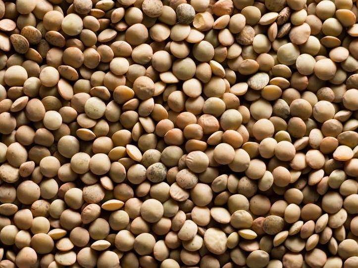 LENTEJAS