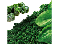 ESPINACA CONGELADA X KG