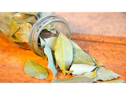 LAUREL EN HOJAS X 20 GRS.