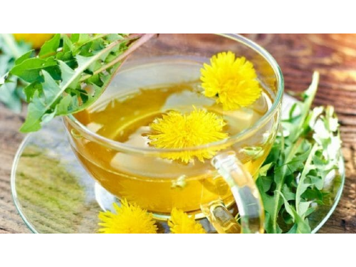 AMARGÓN (DIENTE DE LEÓN) X 100 GRS.