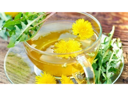 AMARGÓN (DIENTE DE LEÓN) X 100 GRS.