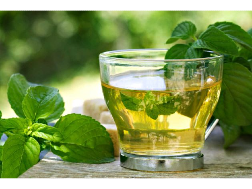 BOLDO HOJAS X 100 GRS.