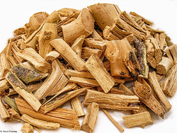 CUASIA AMARGA X 100 GRS.