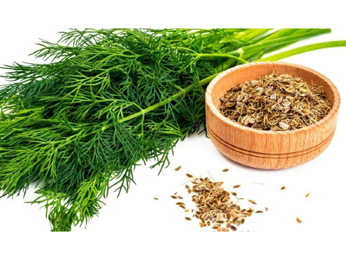 ENELDO SEMILLAS X 100 GRS.