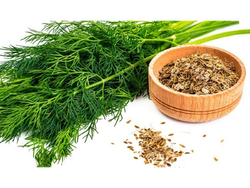 ENELDO SEMILLAS X 100 GRS.